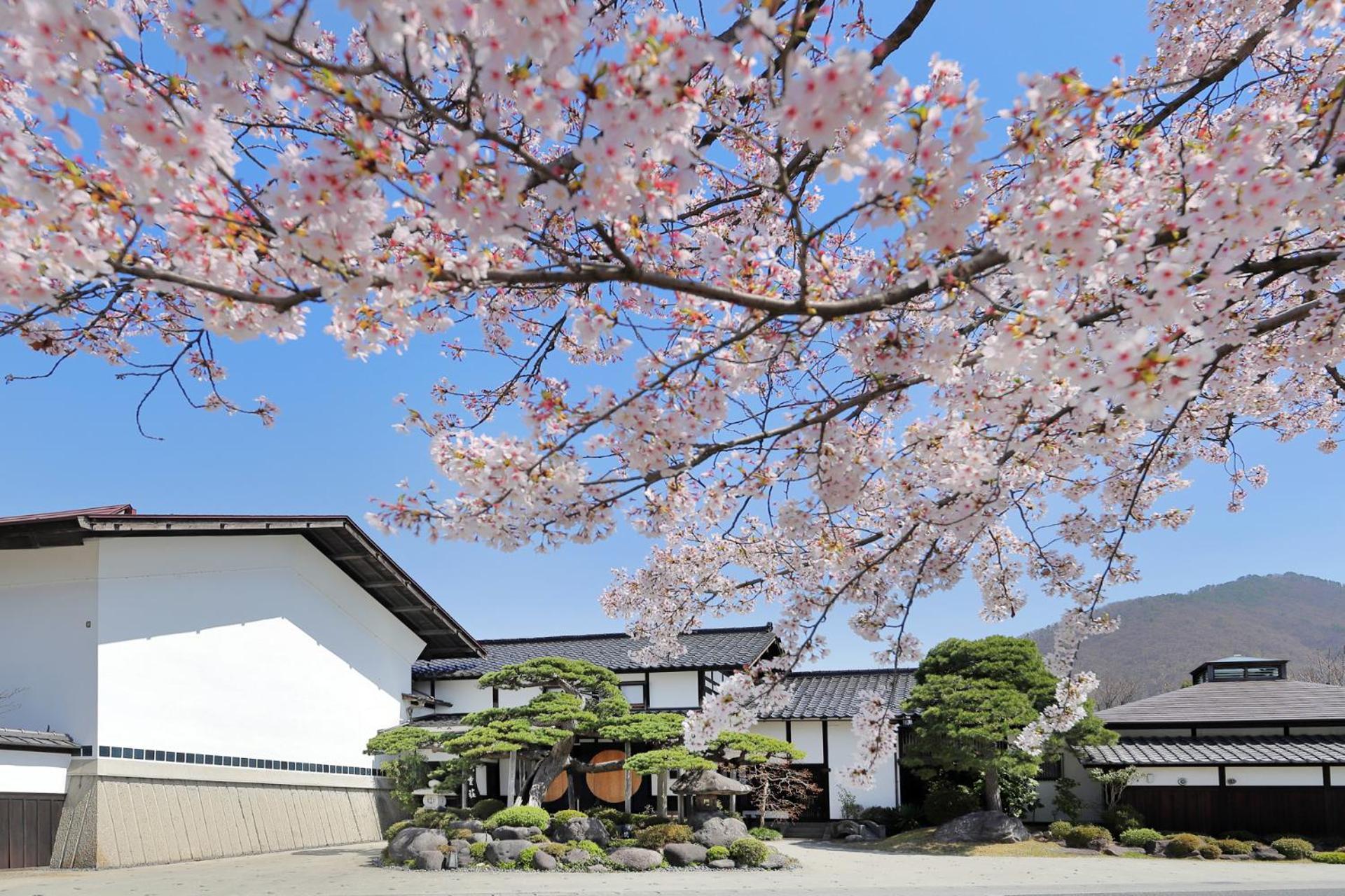 天童荘 Tendoso Esterno foto